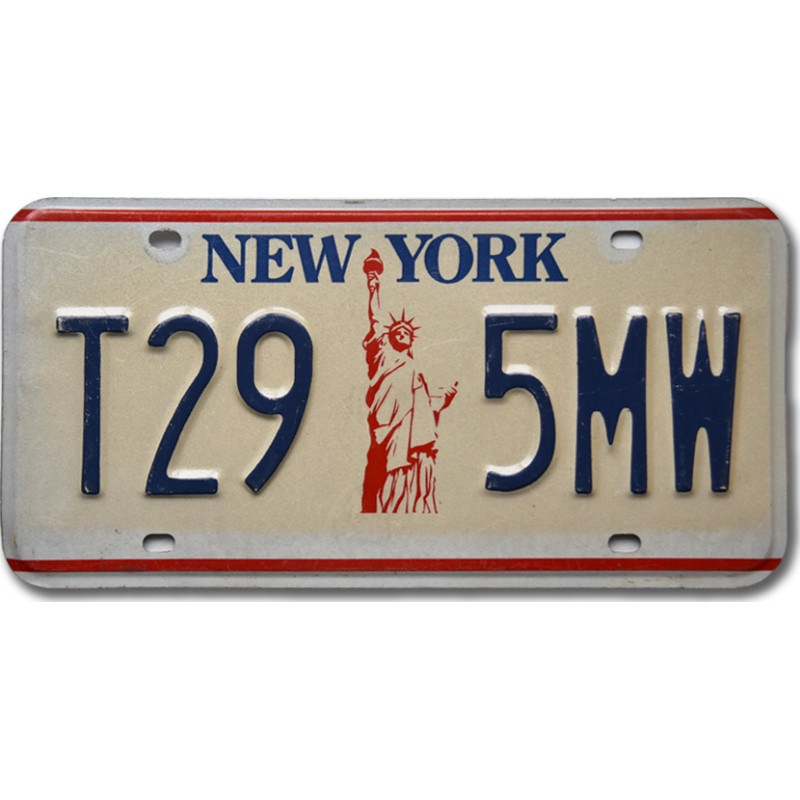 Americká SPZ New York Liberty T29-5MW