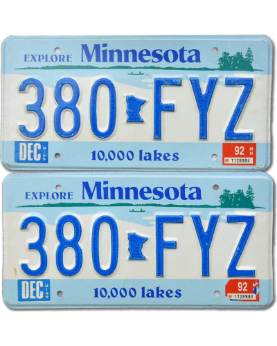 Americká SPZ Minnesota Lakes 380-FYZ pár