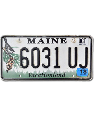 Americká SPZ Maine Chickadee 6031UJ