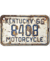 Americká SPZ Kentucky 1966 White 8408 moto