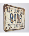 Americká SPZ Kentucky 1966 White 8408 moto