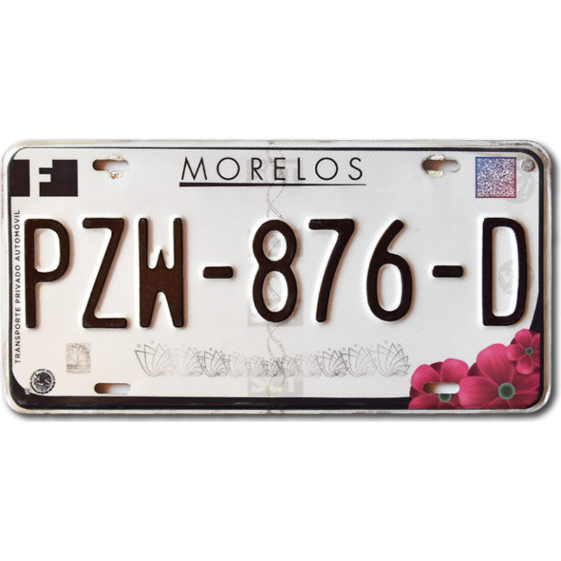 Mexická SPZ Morelos PZW-876-D