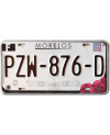 Mexická SPZ Morelos PZW-876-D