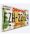 Mexická SPZ Durango FZH-22-24