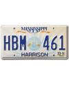 Americká SPZ Mississippi Lucille Guitar