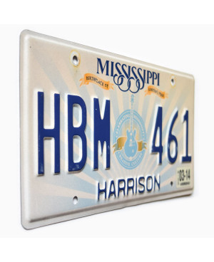 Americká SPZ Mississippi Lucille Guitar
