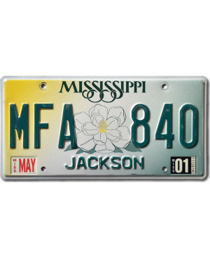 Americká SPZ Mississippi Magnolia
