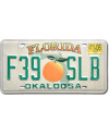 Americká SPZ Florida Orange