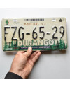 Mexická SPZ Durango Forest FZG-65-29