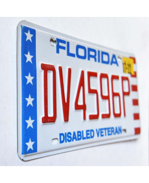 Americká SPZ Florida Disabled Veteran DV4596P