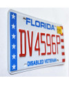 Americká SPZ Florida Disabled Veteran DV4596P