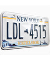 Americká SPZ New York Excelsior LDL 4515