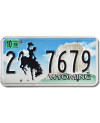 Americká SPZ Wyoming Bronco 2-7679