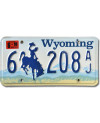 Americká SPZ Wyoming Blue Bronco 6-208AJ