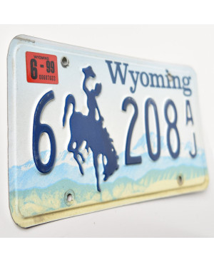 Americká SPZ Wyoming Blue Bronco 6-208AJ