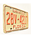 Americká SPZ Florida 1974 Sunshine State 28V-4217