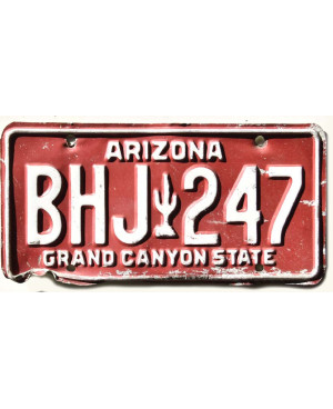 Americká SPZ Arizona Red Cactus BHJ 247