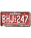Americká SPZ Arizona Red Cactus BHJ 247