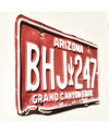 Americká SPZ Arizona Red Cactus BHJ 247