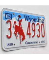 Americká SPZ Wyoming Bronco Centennial 3 4930