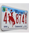 Americká SPZ Wyoming Bronco Centennial 4 874BA