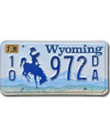 Americká SPZ Wyoming Blue Bronco 10-972DA