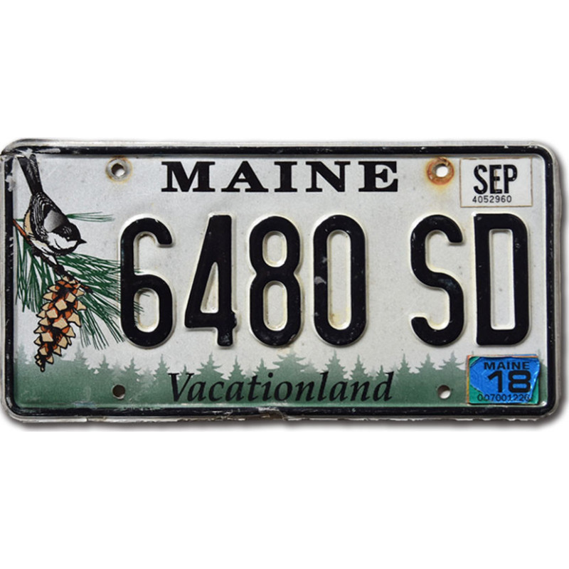 Americká SPZ Maine Chickadee 6480 SD