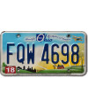 Americká SPZ Ohio Beautiful FQW 4698