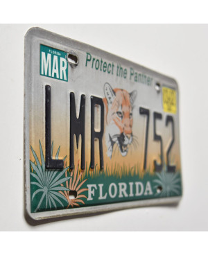 Americká SPZ Florida Protect the Panther LMR 752
