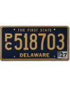 Americká SPZ Delaware The First State Blue PC518703