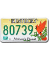 Americká SPZ Kentucky Cardinal 80738