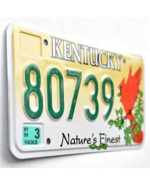Americká SPZ Kentucky Cardinal 80738