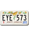 Americká SPZ South Carolina Bird EYE 573