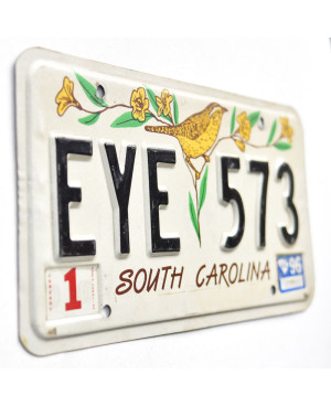 Americká SPZ South Carolina Bird EYE 573