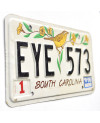 Americká SPZ South Carolina Bird EYE 573