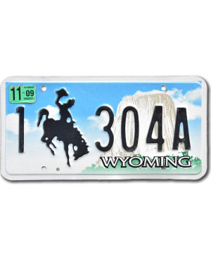 Americká SPZ Wyoming Devils Tower 1 304A