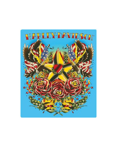 Plechová cedule Harley Davidson Star Tattoo