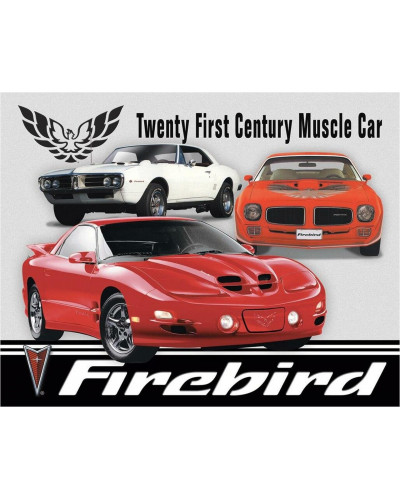 Plechová cedule Pontiac Firebird Tribute 40 cm x 32 cm