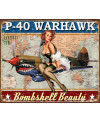 Plechová cedule P-40 Warhawk 40 cm x 32 cm