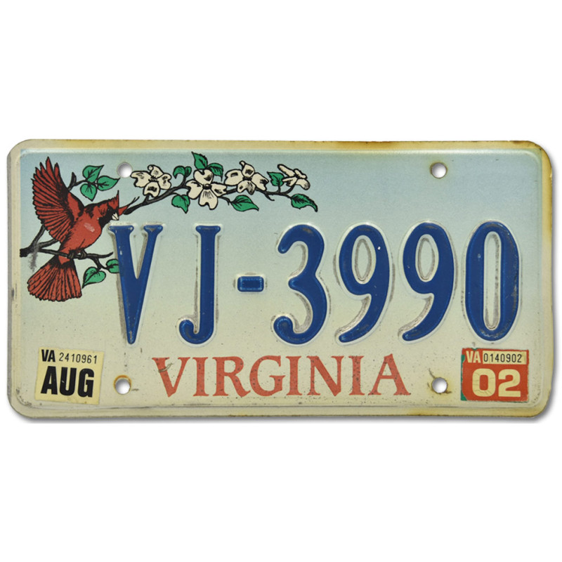 Americká SPZ Virginia Cardinal VJ 3990