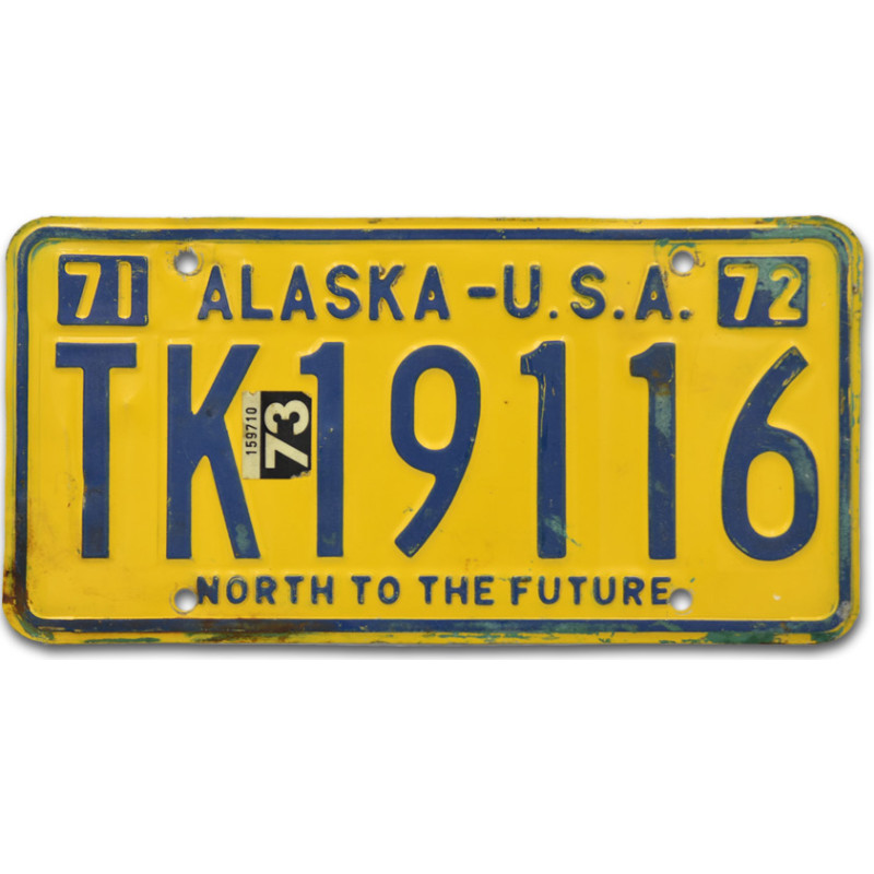 Americká SPZ Alaska North to the Future TK 19116