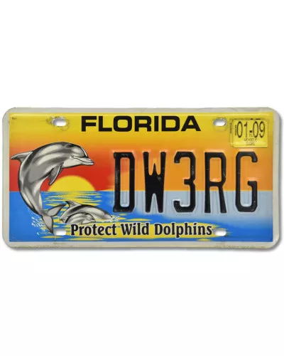 Americká SPZ Florida Protect Wild Dolphins DW3RG