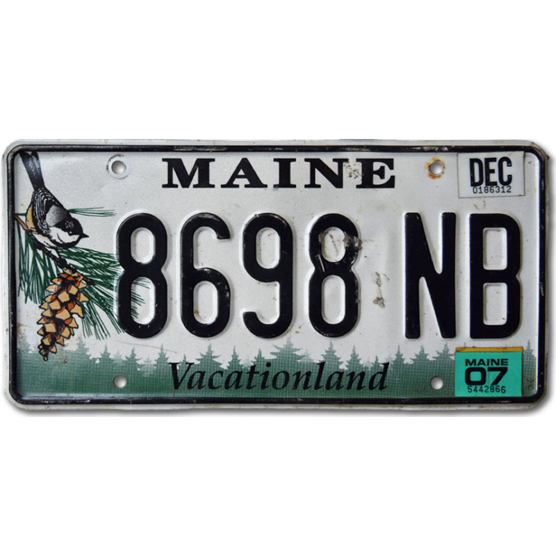 Americká SPZ Maine Chickadee 8698 NB