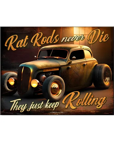 Plechová cedule Rat Rods never Die 32 cm x 40 cm