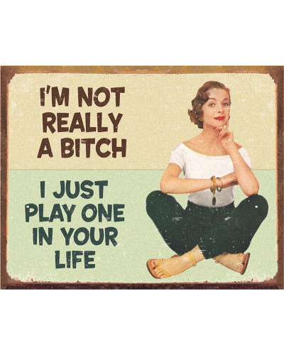 Plechová cedule Ephemera Not a Bitch 40 cm x 32 cm