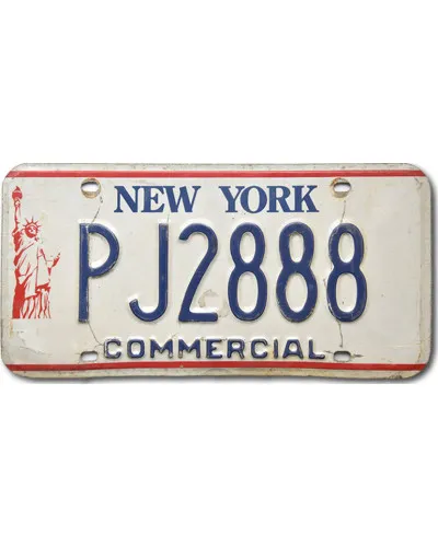 Americká SPZ New York Liberty Commercial PJ2888