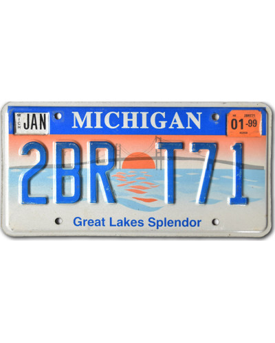 Americká SPZ Michigan Splendor 2BR T71